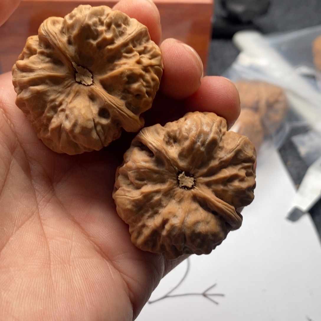 有***余好的我真的是太喜欢了一
