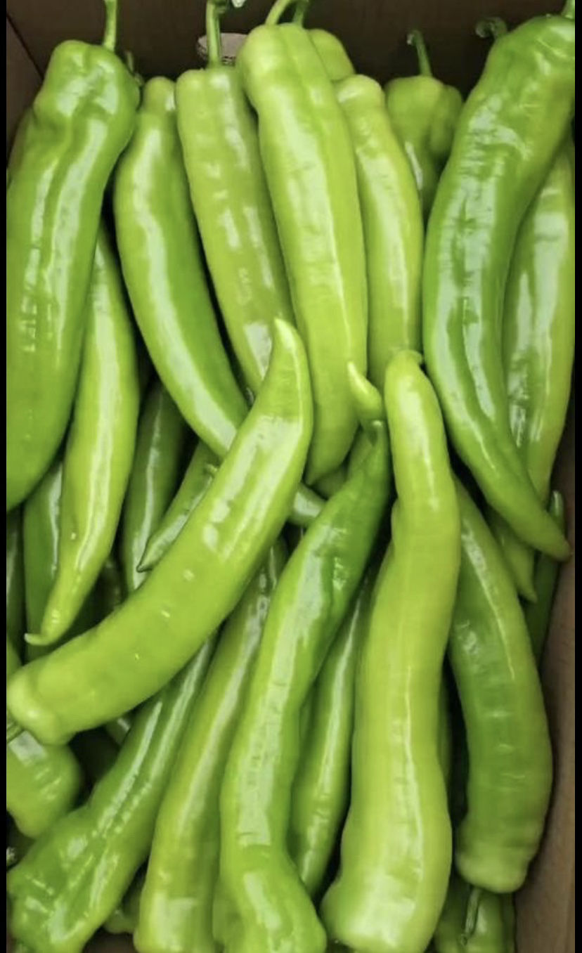 1斤新鲜现摘大尖椒
