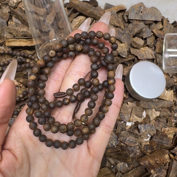 沉香沉香香囊0.5沉水虫漏一条