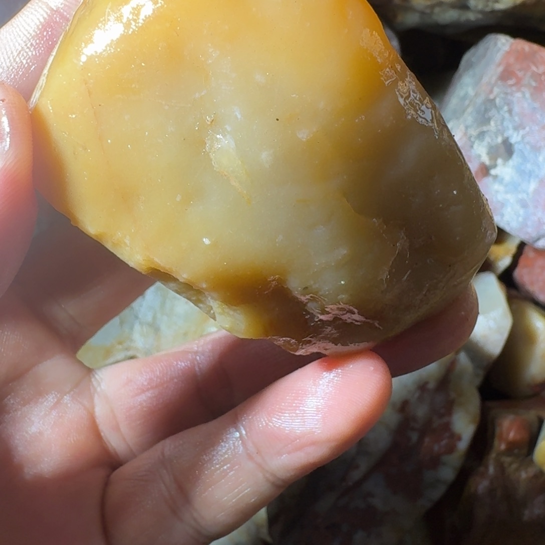 东***学寿山石889889988899