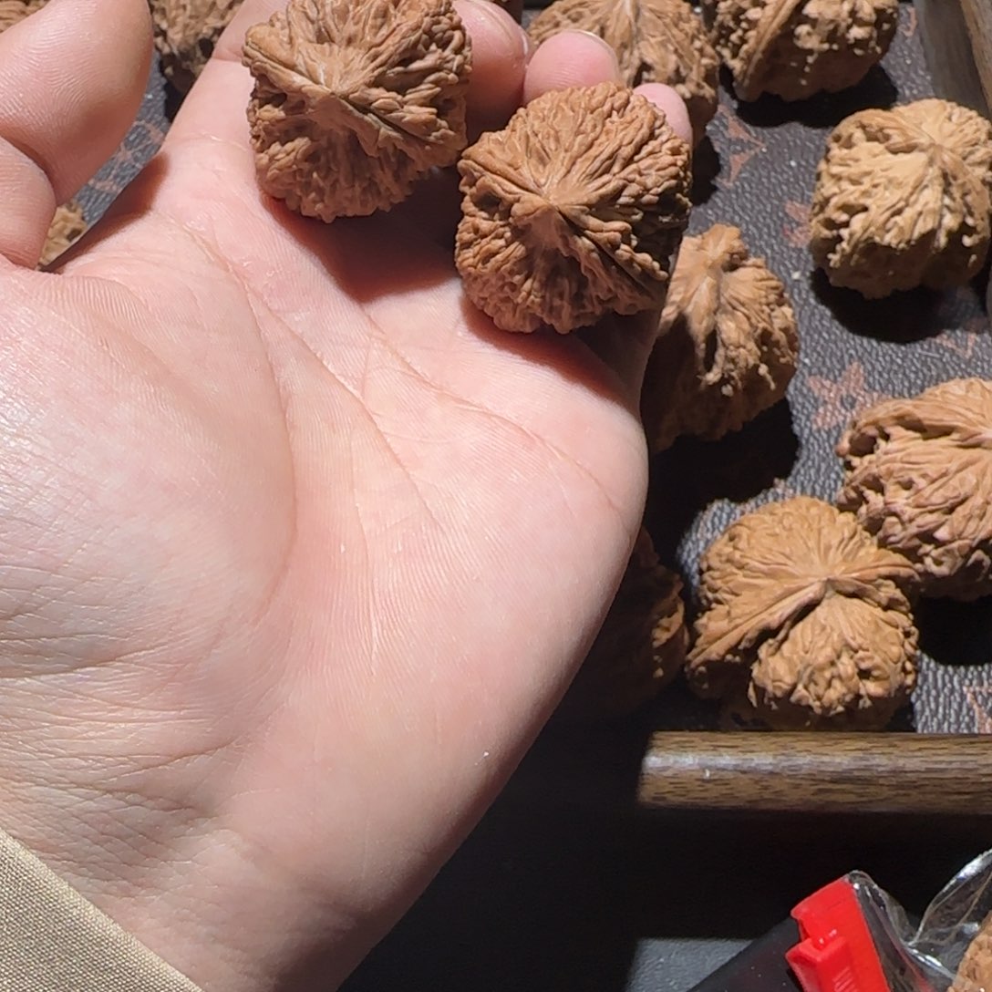 大蒜头181818818斤调料