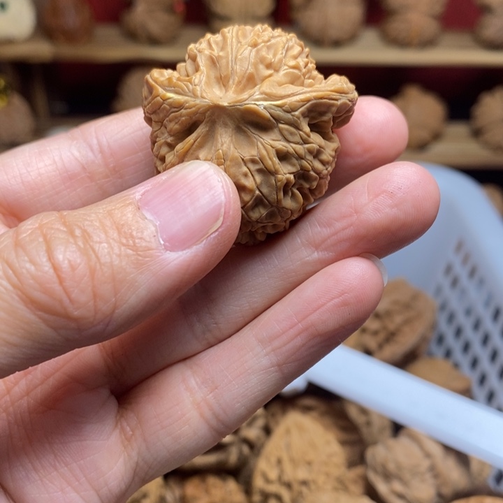 S***n把件文玩核桃尺寸