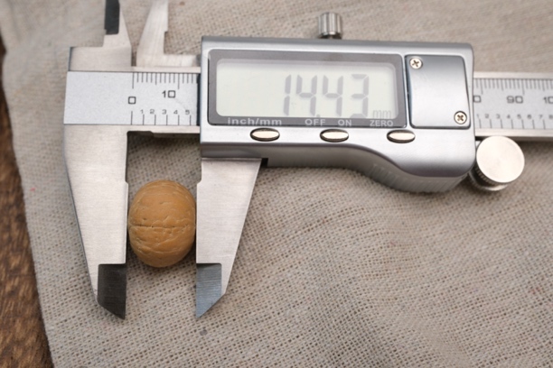 2025新籽三通五星18mm