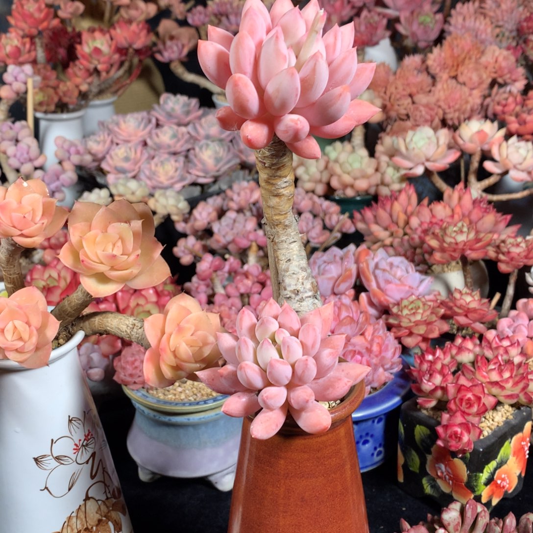 月***人完全开放这么大岁数都还这么穷了