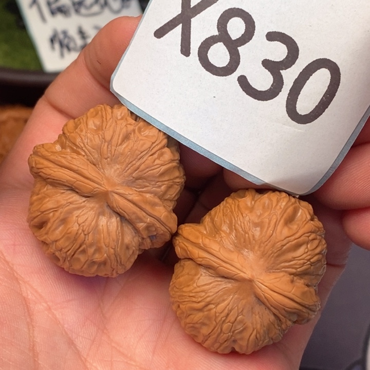 文玩核桃把件宝子830