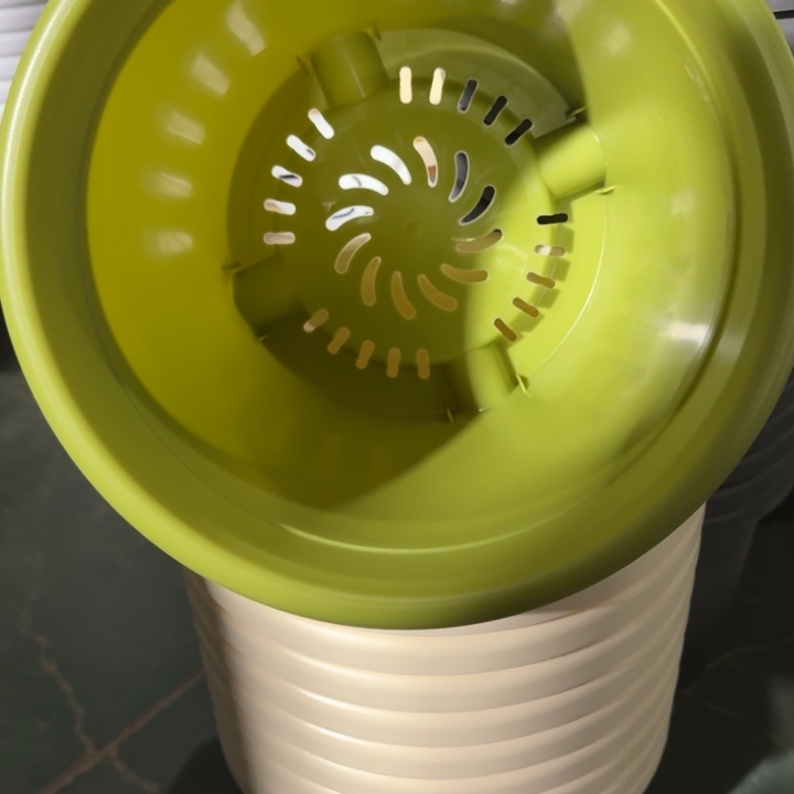 特价4号无托果绿8个