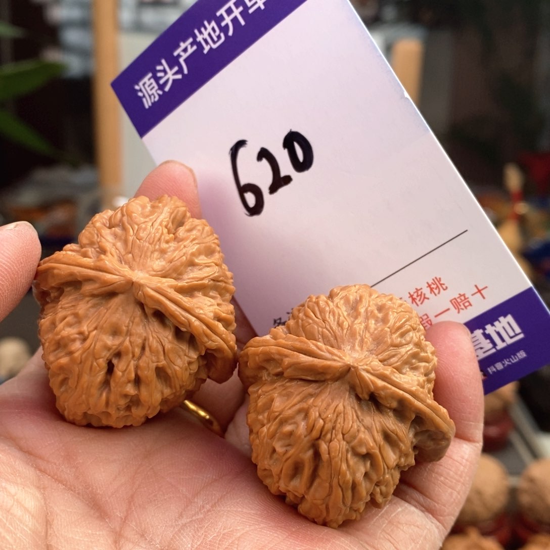 文玩核桃把件37全品白狮子620号