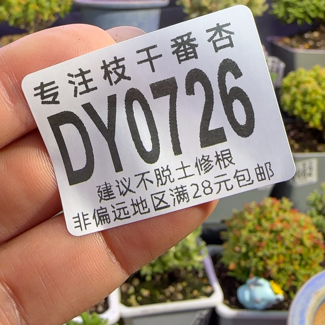 捕***手dy0726盆4个补单一物一拍