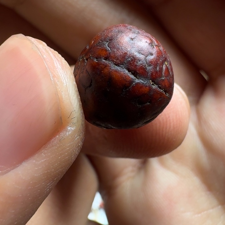 且***生泥塑藏传泥塑小元素