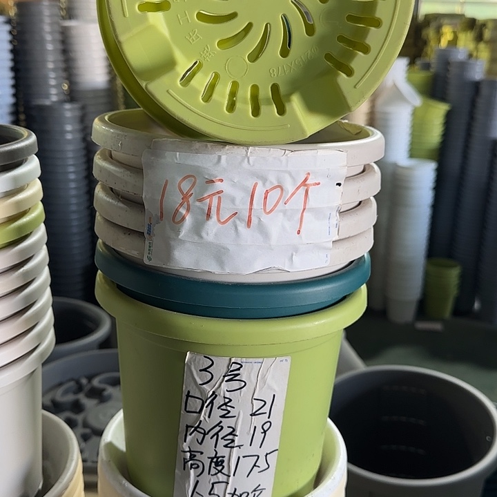 微瑕3#口径21无托果绿10个