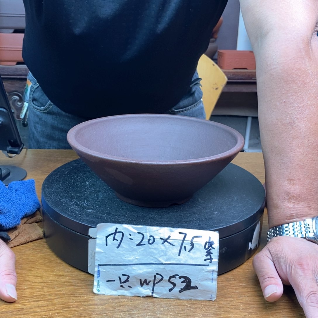 紫砂货号一只WP52