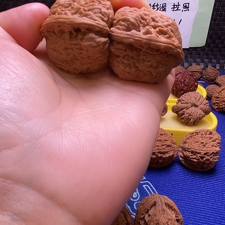 带留疤天残38尺福利