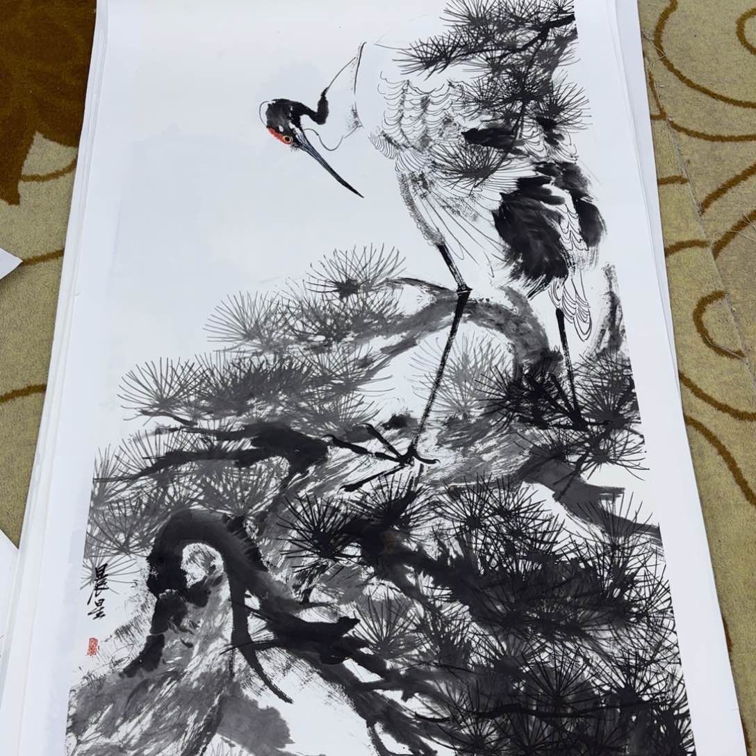 鸿***！国画赵晨星四尺李欣主播