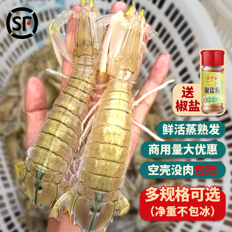皮皮虾超大鲜活蒸熟冷冻赖尿虾虾姑爬爬虾