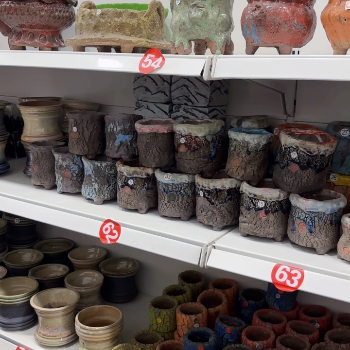 心***师内口7-8左右高9-10，14个