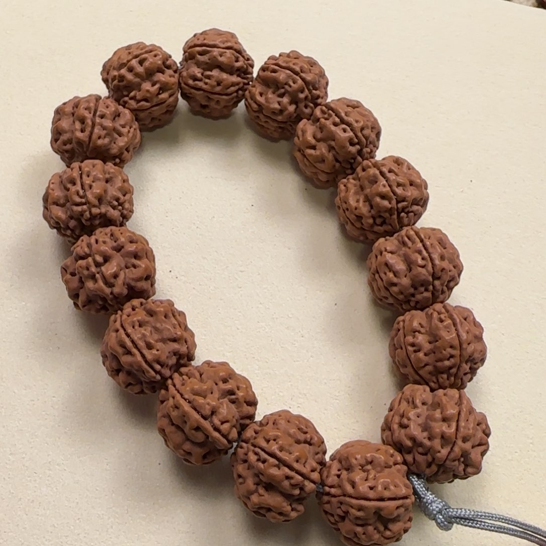 金刚菩提手串【毕业帝王花】手持20mm