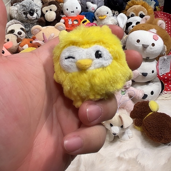 毛绒挂件豆袋哈哈哈