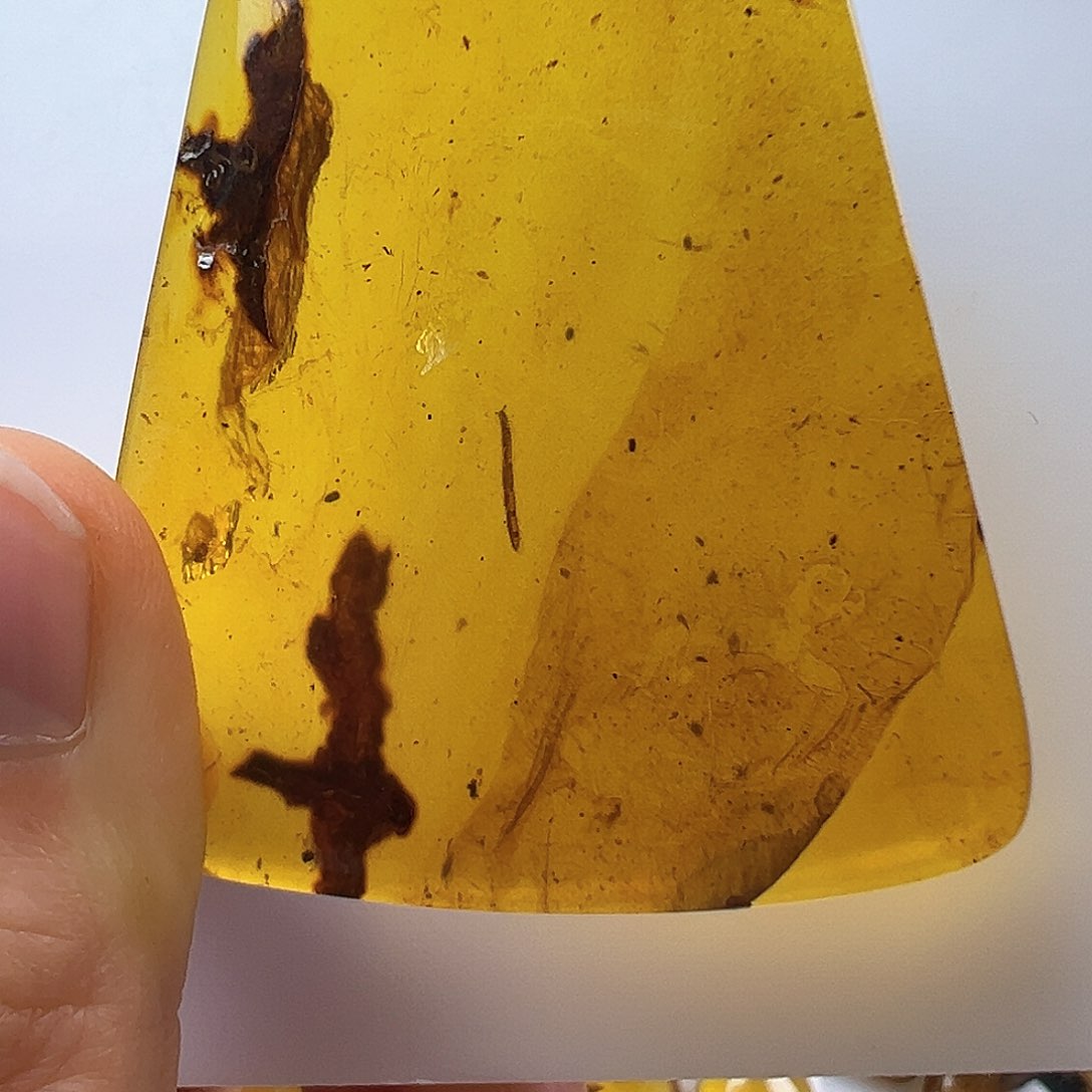 琥珀裸石未镶嵌琥珀虫珀