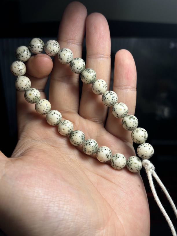 孤品双标10圆珠细星超稀火龙果细节怪星月菩提手串GP10YZ3250818