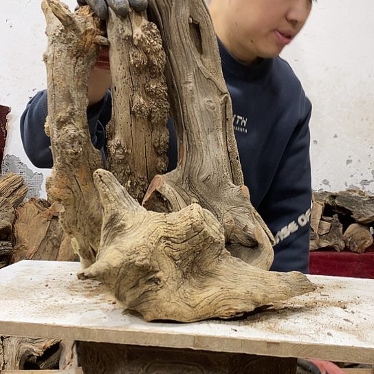 喜***杨柏木我们都是好孩子