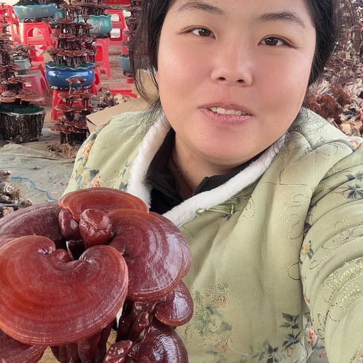 无花朵霸***。灵芝花开了吗