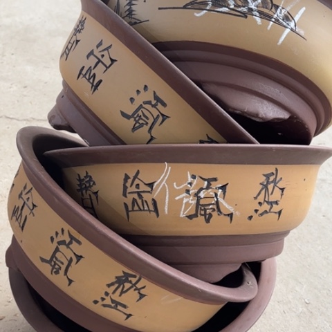 100-5。  33-14。  微瑕。  