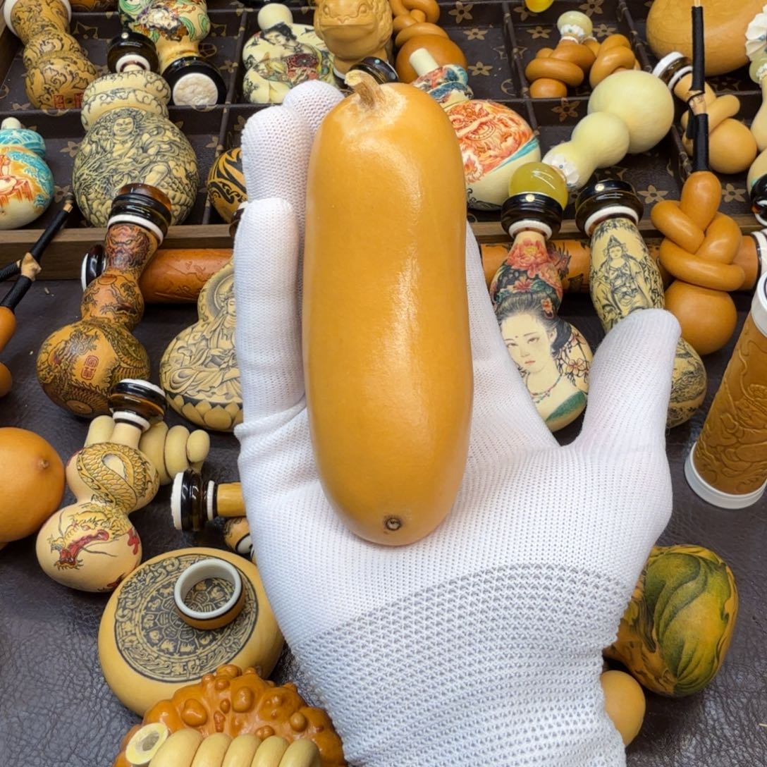 星**育葫芦11111111111111111