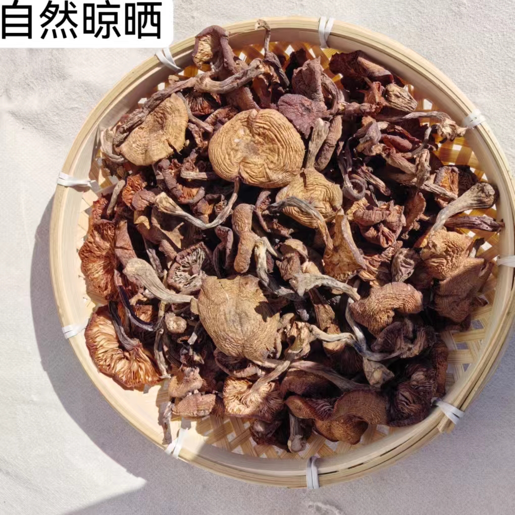 东北野生榛蘑25年新货干货无添加野生菌菇小鸡炖蘑菇500克