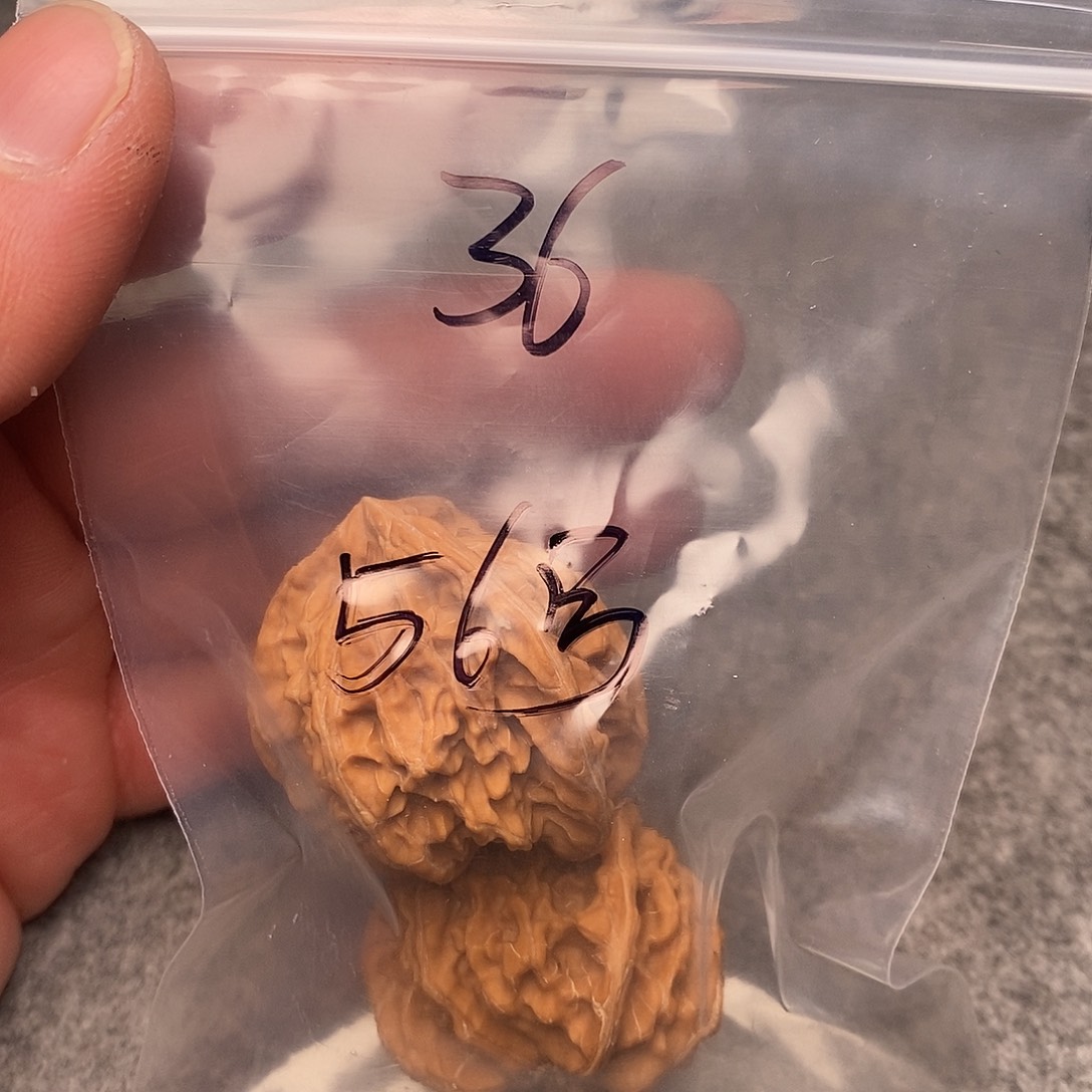 文玩核桃把件三棱