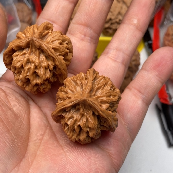 琪***蛋三棱8888888888888