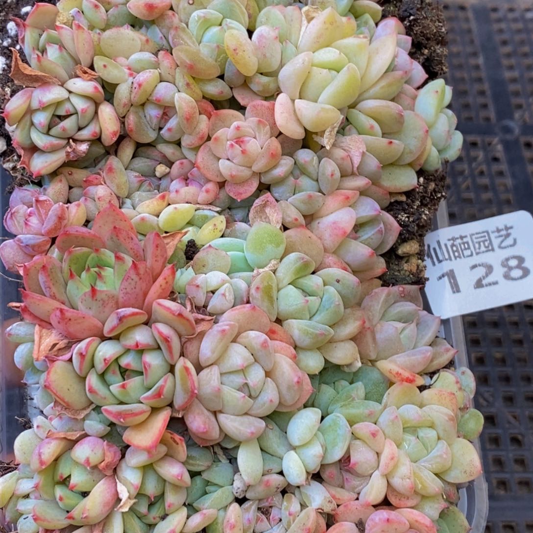 128多人在一起的时候我