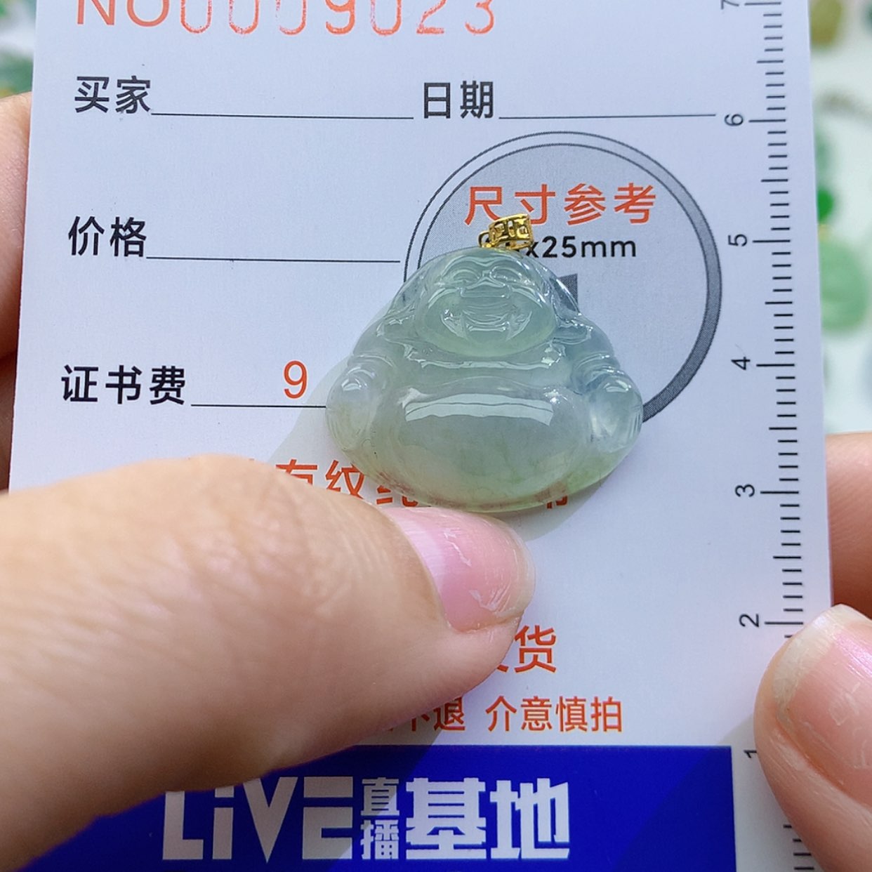 【闪购商品】翡翠颈饰未镶嵌颈饰7