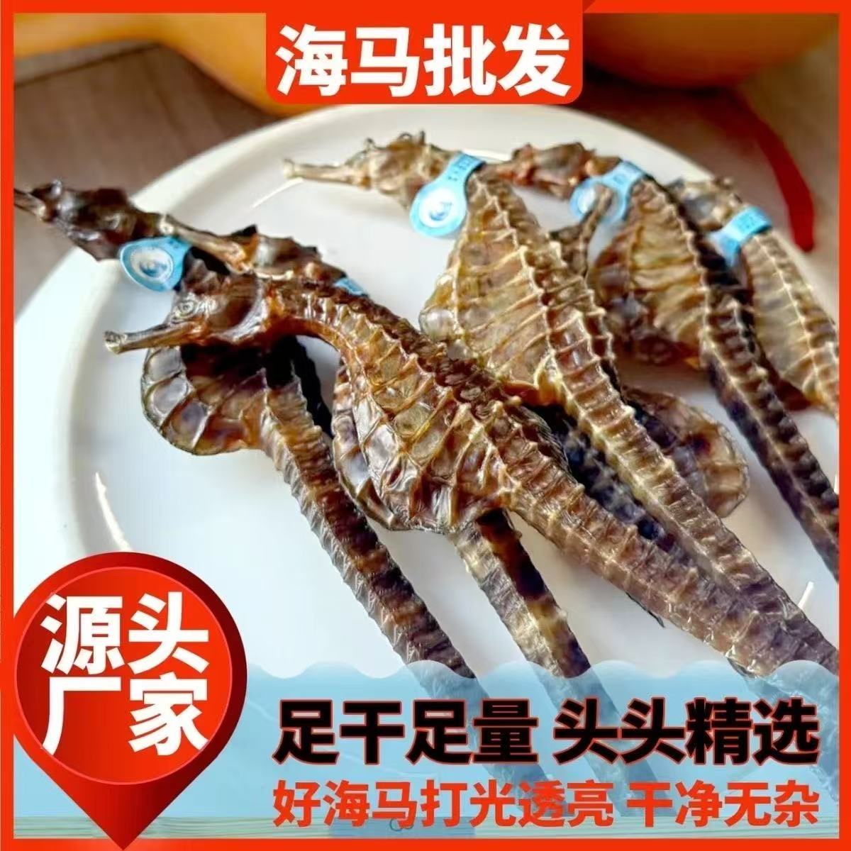 【马王】公母搭配可煲汤泡酒的足干海马干货