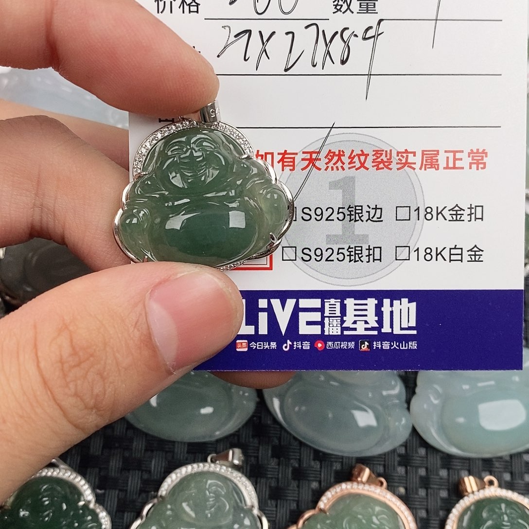 莉***～翡翠银S925镶嵌颈饰