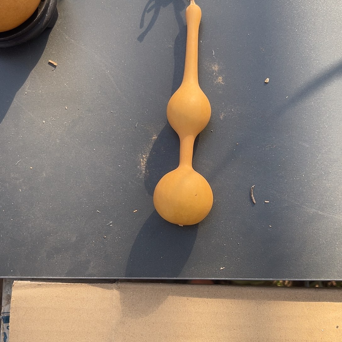 晴***天1588葫芦888888888