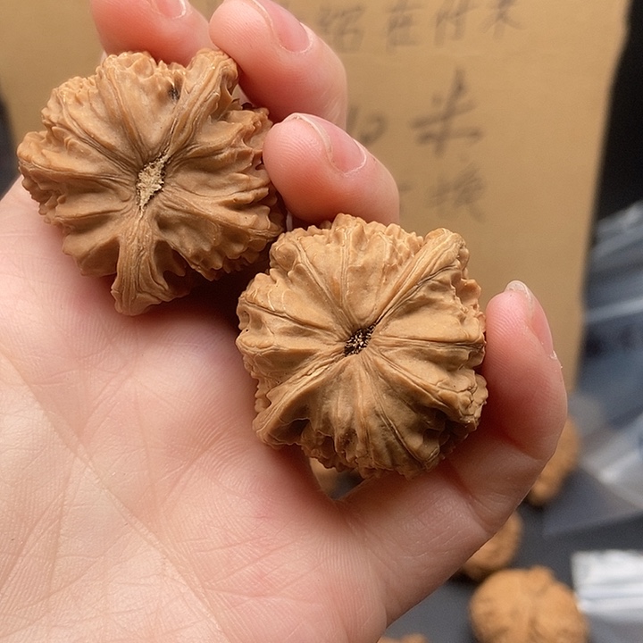 B***e大大大大大大大狮子