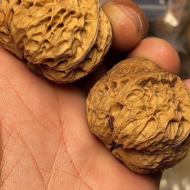 文玩核桃把件云南铁核桃68