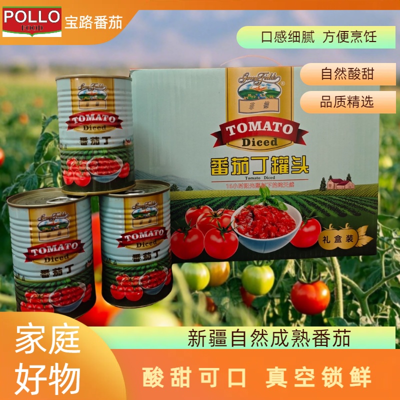 【25年产】宝路菲德牌新疆番茄丁罐头400gx12罐