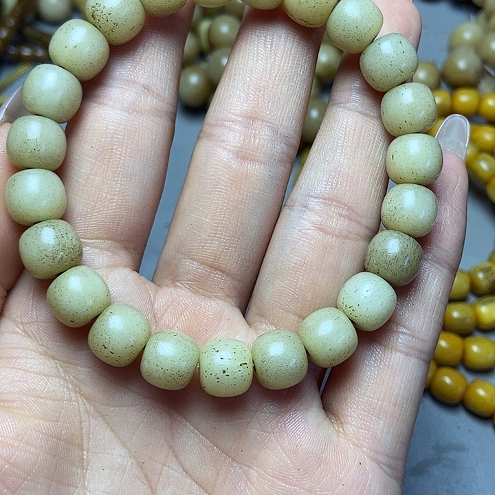 大果紫檀（缅甸花梨）