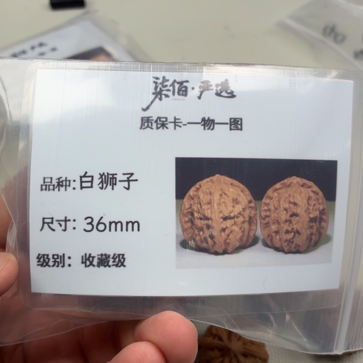 文玩核桃把件36白狮子