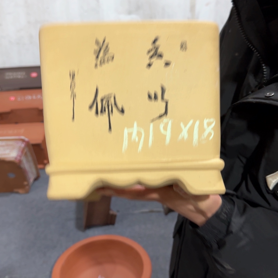 紫砂花盆呜呜呜呜