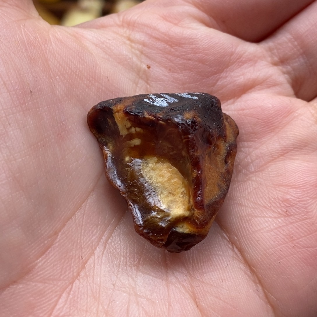 定制琥珀未镶嵌蜜蜡