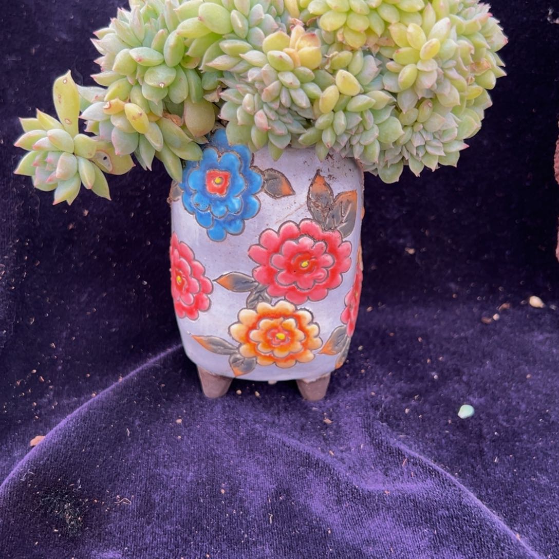 黄钻 新年快乐 新年快乐