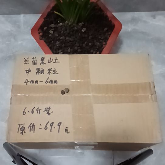 冷***月兰菌黑山土中颗粒6.6斤