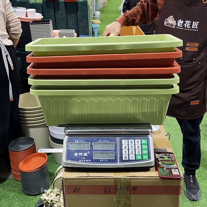 长方形长55宽24高16混色5个