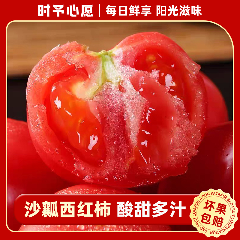 攀枝花西红柿 X露天沙瓤番茄生吃水果蔬菜新鲜自然熟包邮
