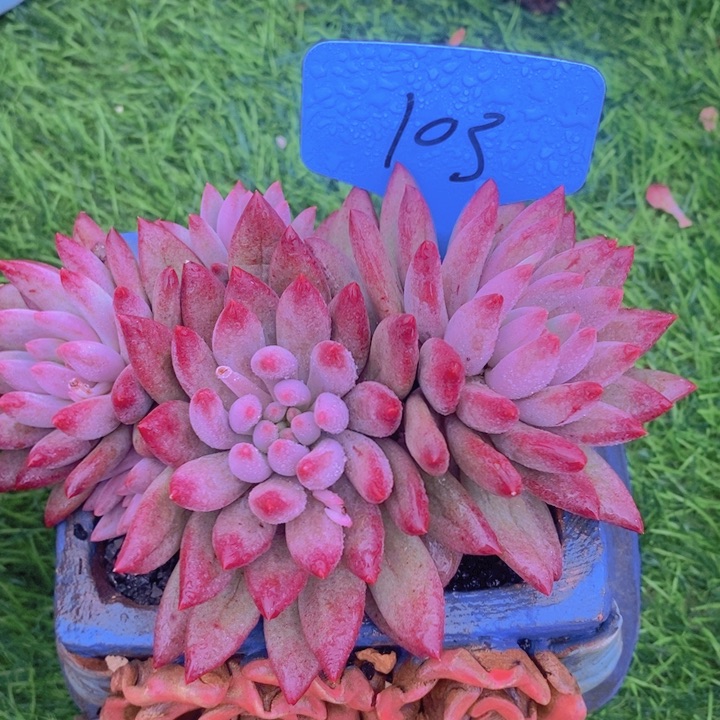 这么多都要我帮着