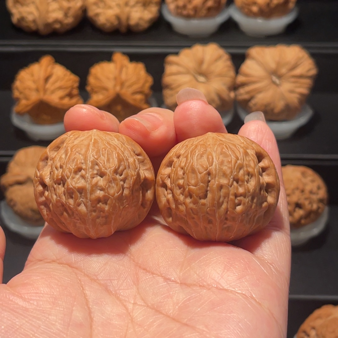 全品，精品，36铁锤252