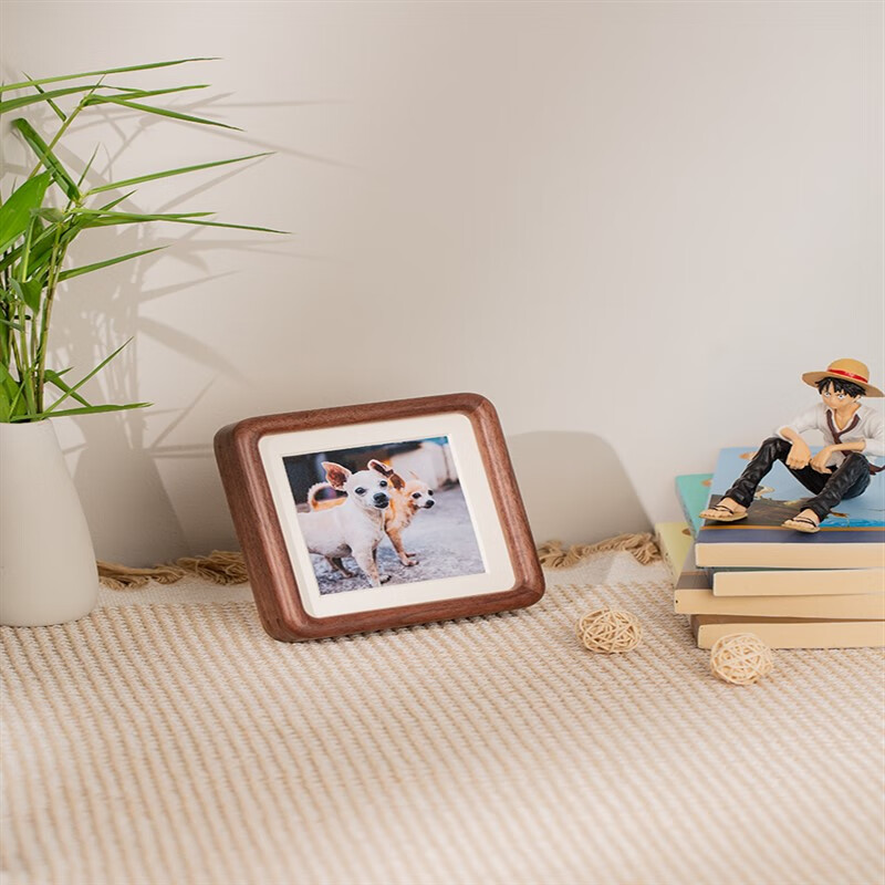 宠物相册 狗狗相册 朝朝