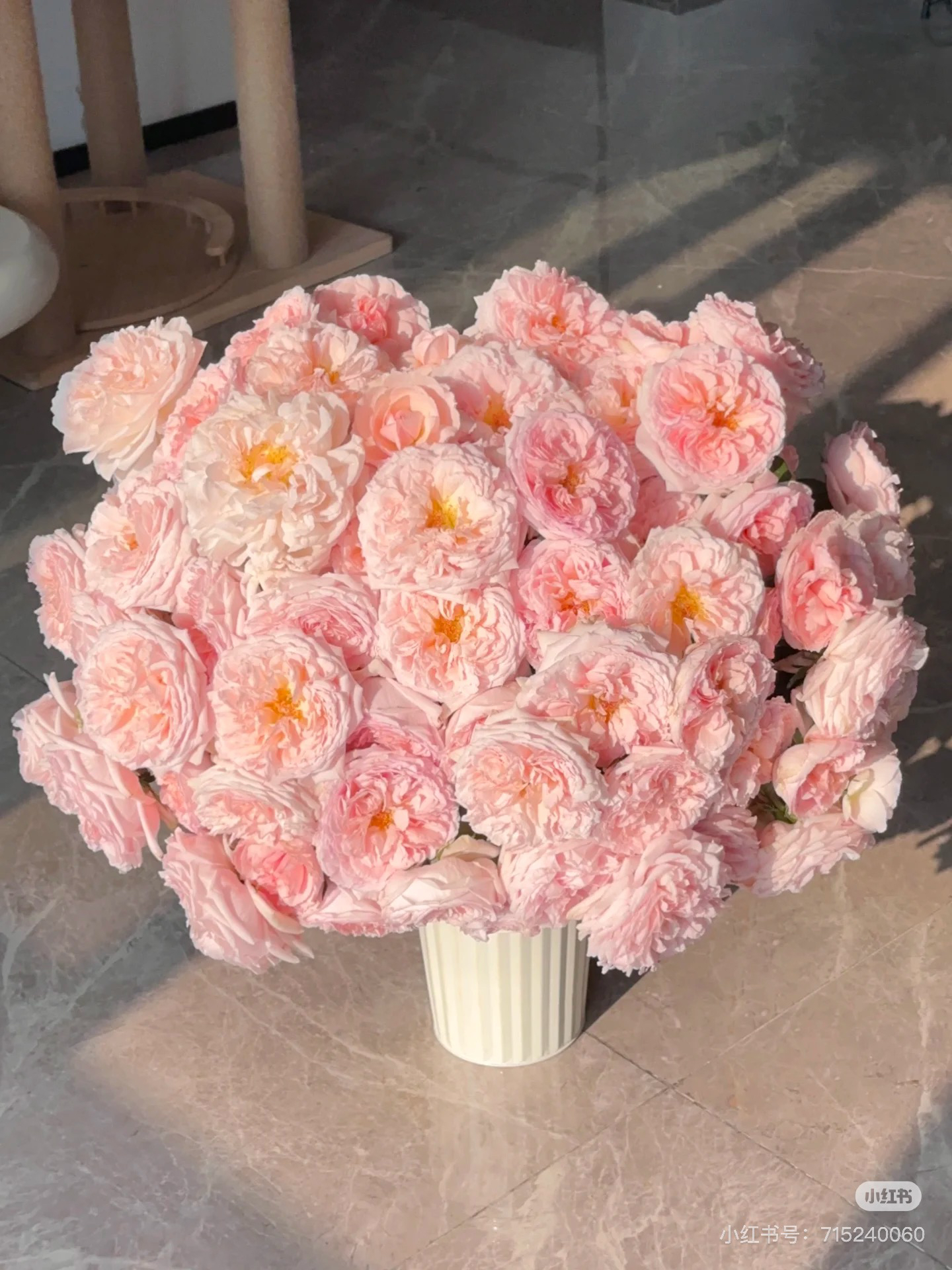 【花甜悦夏优选】魔法童话多头玫瑰（百分之十不售后2个订单包邮